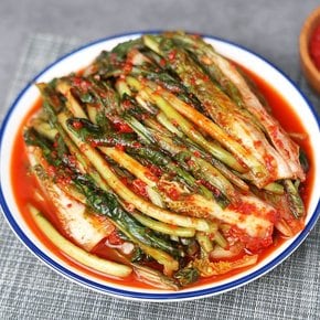 전라도 전통식품 인증 열무 자박이 3kg (열무+얼갈이) HACCP인증 당일제조 100% 국산 김치