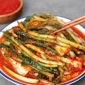 전라도 전통식품 인증 열무 자박이 3kg (열무+얼갈이) HACCP인증 당일제조 100% 국산 김치