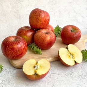 경북 부사 사과 흠과 주스용 6kg (랜덤과)