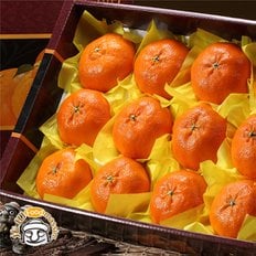 [1/15(수)순차출고] 조은돌담 제주 레드향 선물세트 (2.5kg, 8-10과)