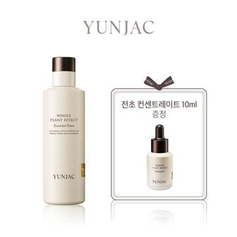 연작 [기획세트] 전초 에센셜 토너(전초 컨센트레이트 10ml 증정)