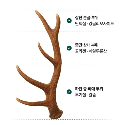 상품이미지6