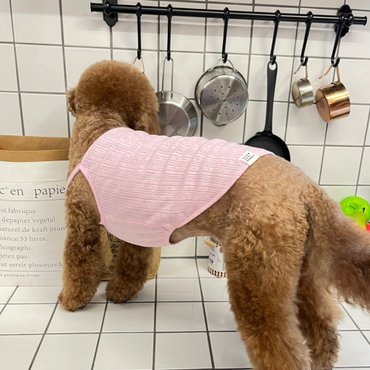꼴레트멍멍 여름 아일렛 강아지나시티셔츠