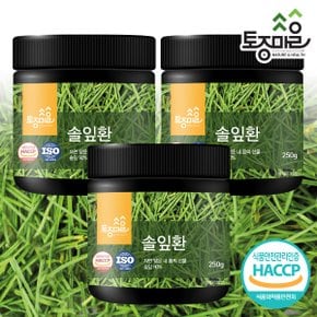 HACCP인증 국산 솔잎환 250g X 3통