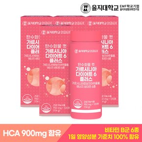 탄수화물 컷 가르시니아 다이어트6 플러스 120정x4개(8개월분)