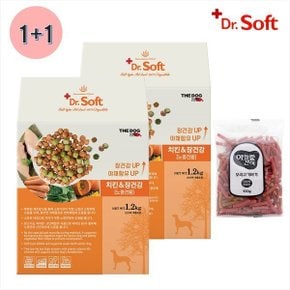 (1+1)닥터소프트 식이섬유 노령견 1.2kg(장건강) +간식