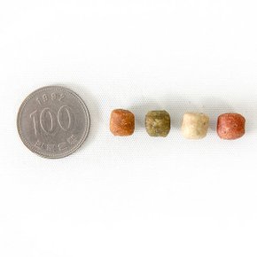 (1+1)닥터소프트 식이섬유 노령견 1.2kg(장건강) +간식