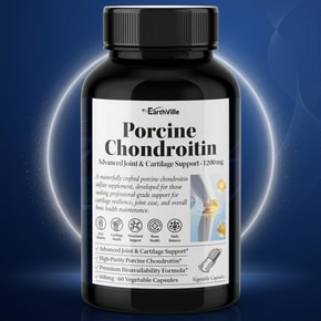 2병 포사인 콘드로이친 어드밴스드 돼지유래 1200mg 120베지캡슐