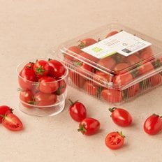 더달콤 스테비아 대추방울 토마토 550g (팩)