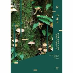 숲 아래서 - 나무와 버섯의 조용한 동맹이 시작되는 곳