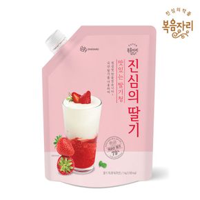 [복음자리] 진심의 딸기청 대용량 1kg * 2개(총2kg), 국산딸기..[34209009]
