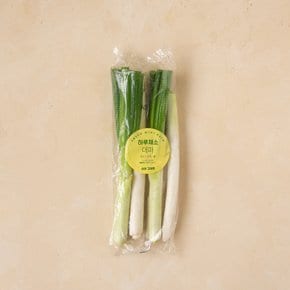 소소한 하루 대파