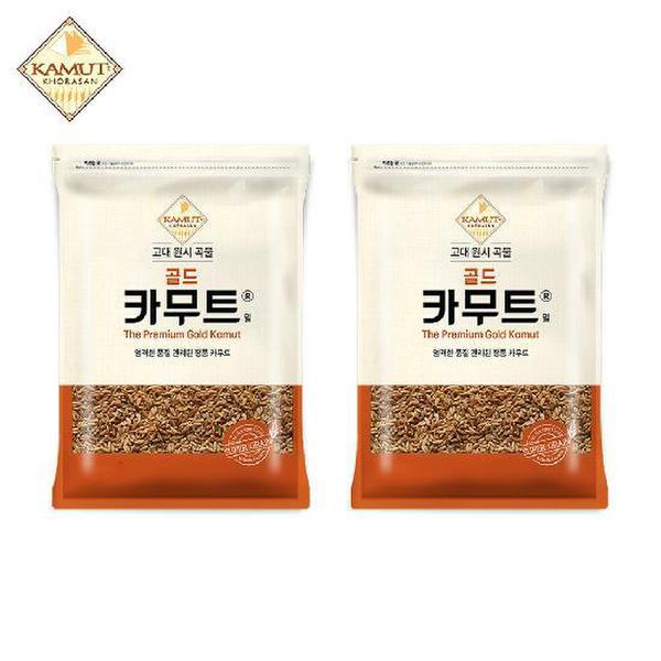 확대된 대표 이미지 P
