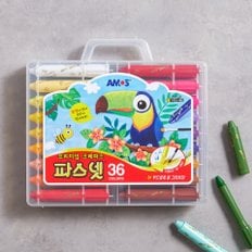 아모스 파스넷 36색