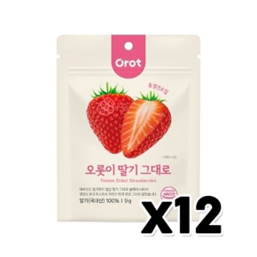 오롯이 딸기그대로 동결건조간식 9g x 12개