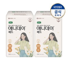 애니데이 패드 중용량24px2팩