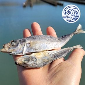 국산 육수용 전갱이 메가리 500g / 무료배송 국물멸치 다시