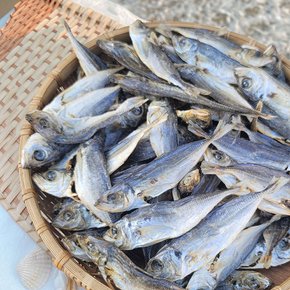국산 육수용 전갱이 메가리 500g / 무료배송 국물멸치 다시