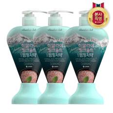 히말라야핑크솔트 펌핑치약 아이스 285g x 3개