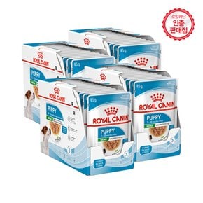 강아지사료 미니 퍼피 파우치 85g x 48P / 습식파우치 모음집