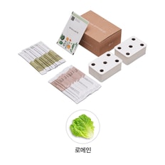 [공식] LG 틔운 미니용 씨앗키트 패키지 LPM31 (로메인)