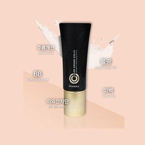 CC크림 21호 올인원 콤보 SPF50+ PA+++ 비비크림