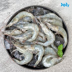 [도리마켓] 당일 어획 후 발송! 국내산 고흥 활새우 1kg (45미 내외)