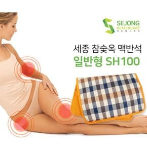 BN 세종 참숯옥 맥반석 찜질기 일반형 SH-100