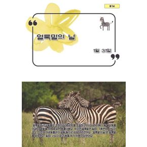 카드10%) 얼룩말의 날