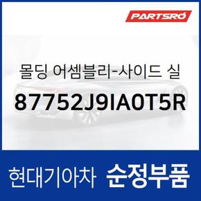 사이드실 몰딩(사이드스커트),조수석쪽 (87752J9IA0T5R) 코나 현대모비스 부품몰