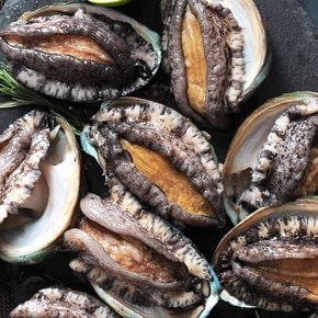 [바다마을협동조합] 완도활전복(구이용) 활전복 36~40미 1kg내외{산소포장}
