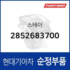 스테이 (2852683700)  에어로 시티, 에어로 스페이스, 에어로 퀸, 에어로 퀸/익스프레스, 뉴 슈퍼 에어로 시티, AM928/AM937 98, 그랜버드 01, 슈퍼 에어로 시티 특장