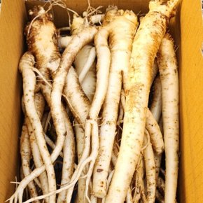 세척 나물도라지 1kg