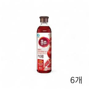 MENPFPIN_52EQ마시는홍초 석류 X 에이드만들기 900ml 6개