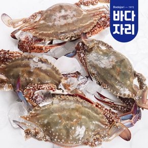 산지직송 서해안 가을 제철 생물 햇꽃게 1kg 빙장포장