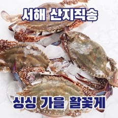 산지직송 서해안 가을 제철 생물 햇꽃게 1kg 빙장포장