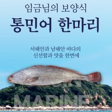 자연미가 국내산 통민어 한마리 (50cm이상, 손질1,3kg 내외) /okjin 임금님진상 사계절 보양식