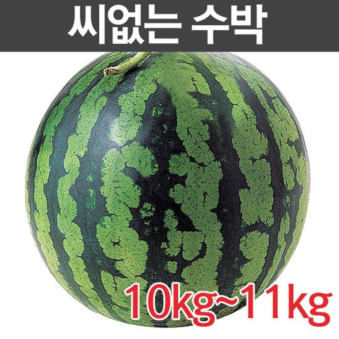 씨없는 수박 10Kg이상, 이마트몰, 당신과 가장 가까운 이마트