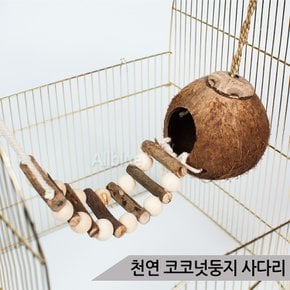 천연 코코넛둥지 나무사다리 그네 앵무새 장난감