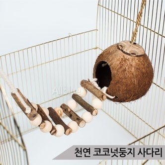 올블루 천연 코코넛둥지 나무사다리 그네 앵무새 장난감