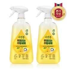 자연퐁 뿌려쓰는 주방세제 레몬향 용기형 750ml x 2개[33759167]