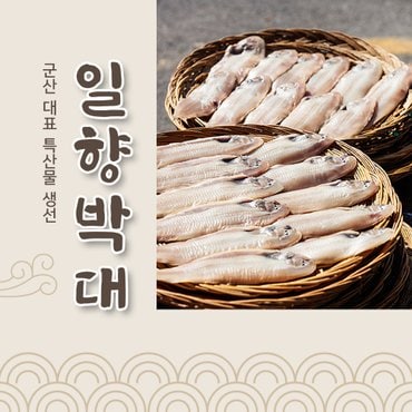  일향 반건조 군산박대 10미 2종류 (약 1.2kg, 1.3kg 이상) /(마리당 28~30cm)