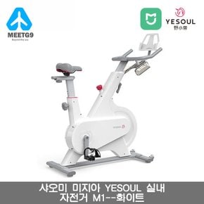 [해외직구] 샤오미 YESOUL 스마트 M1 스핀바이크 / 컴팩트 / 온라인 코치 /관부가세 포함