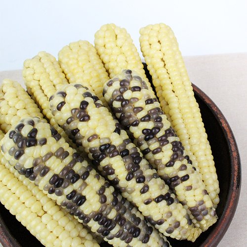 상품 이미지1