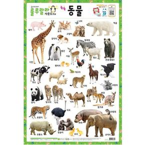 룰루랄라 사운드 벽보 : 쏙쏙 동물 (양면벽보)
