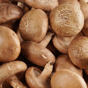표고버섯 500g