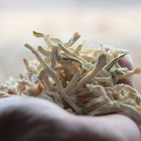 2025년 국산 햇 무말랭이 800g