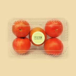 SSG 철원 김화 완숙토마토 1.2kg(5입/팩)