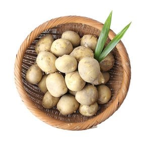 [팔도농장] 26년 햇 수확 수미감자(대) 3kg