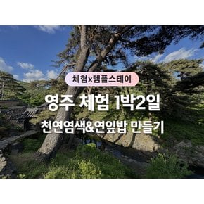 [영주 1박2일/리무진] 솔향기 마을 콩포트 체험 / 금계계곡 / 풍기인견 천연염색 스카프 만들기 체험 / 희방사 템플스테이